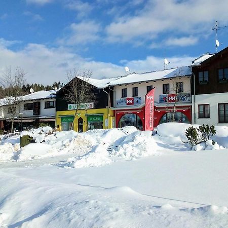 Apartman Leo Nr. 8 Lipno Nad Vltavou Bagian luar foto