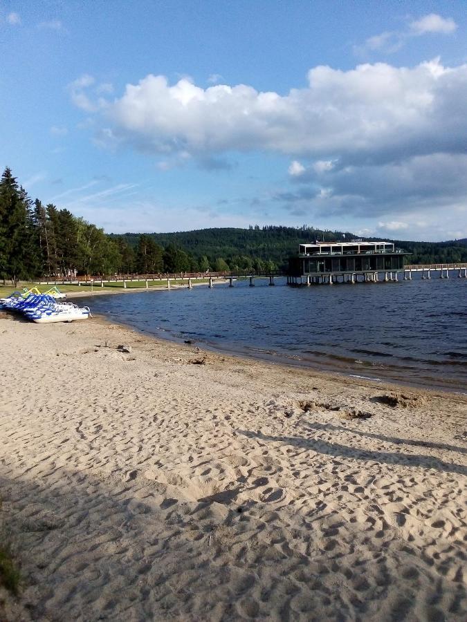 Apartman Leo Nr. 8 Lipno Nad Vltavou Bagian luar foto