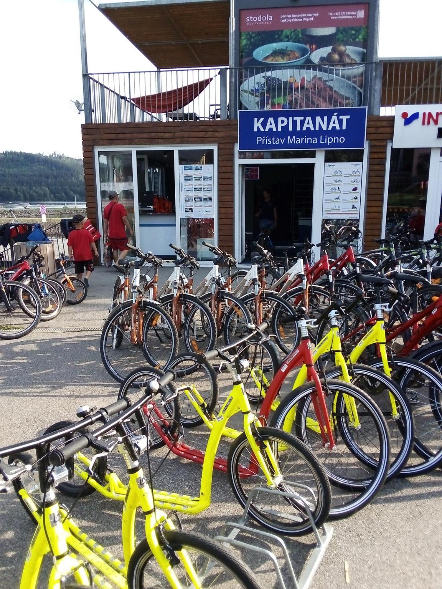 Apartman Leo Nr. 8 Lipno Nad Vltavou Bagian luar foto