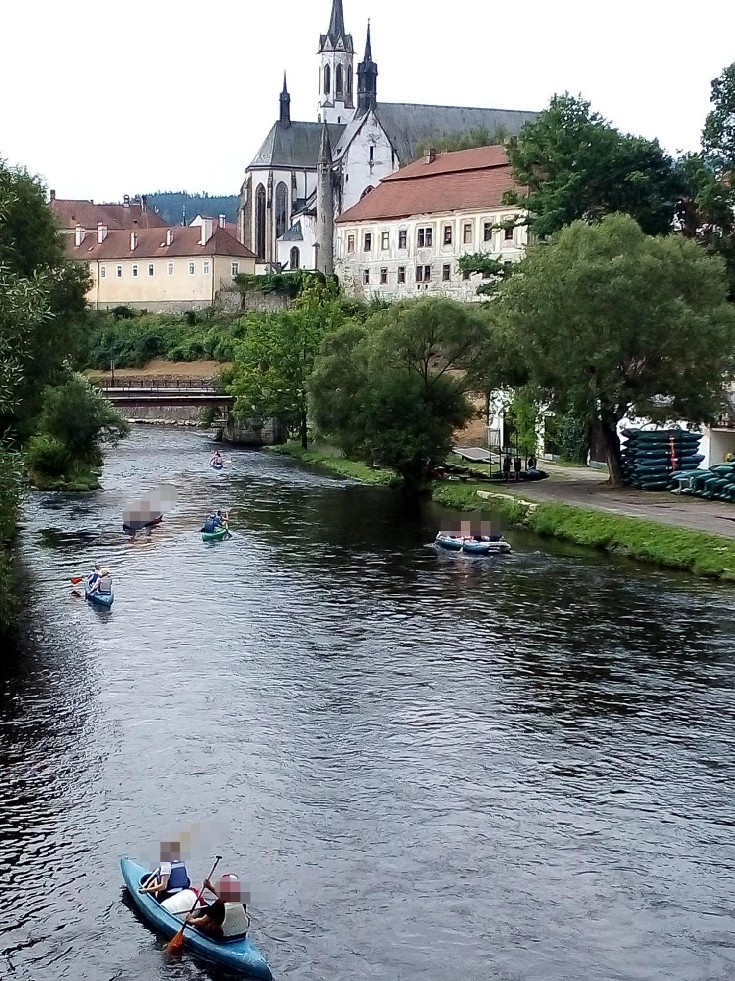 Apartman Leo Nr. 8 Lipno Nad Vltavou Bagian luar foto
