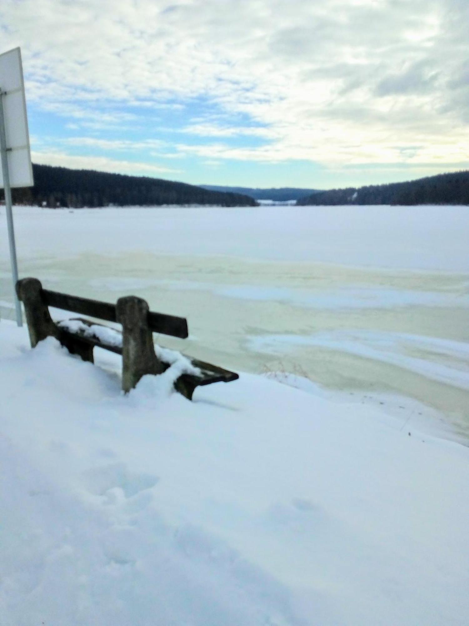 Apartman Leo Nr. 8 Lipno Nad Vltavou Bagian luar foto